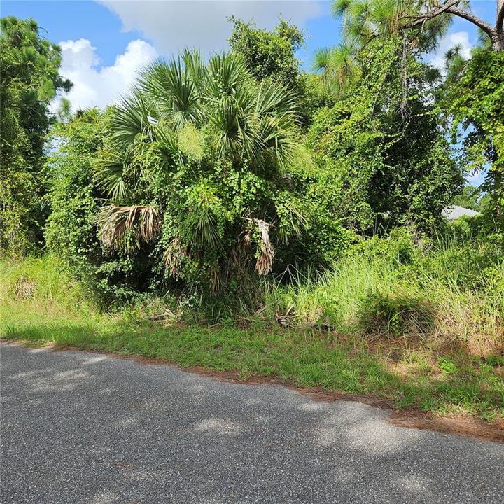 Activo con contrato: $22,000 (0.23 acres)