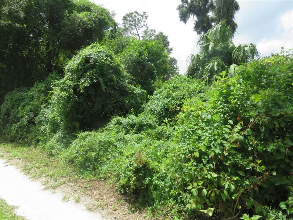 En Venta: $29,875 (0.23 acres)