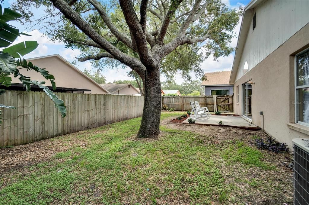 Active With Contract: $319,000 (3 beds, 2 baths, 1433 Square Feet)