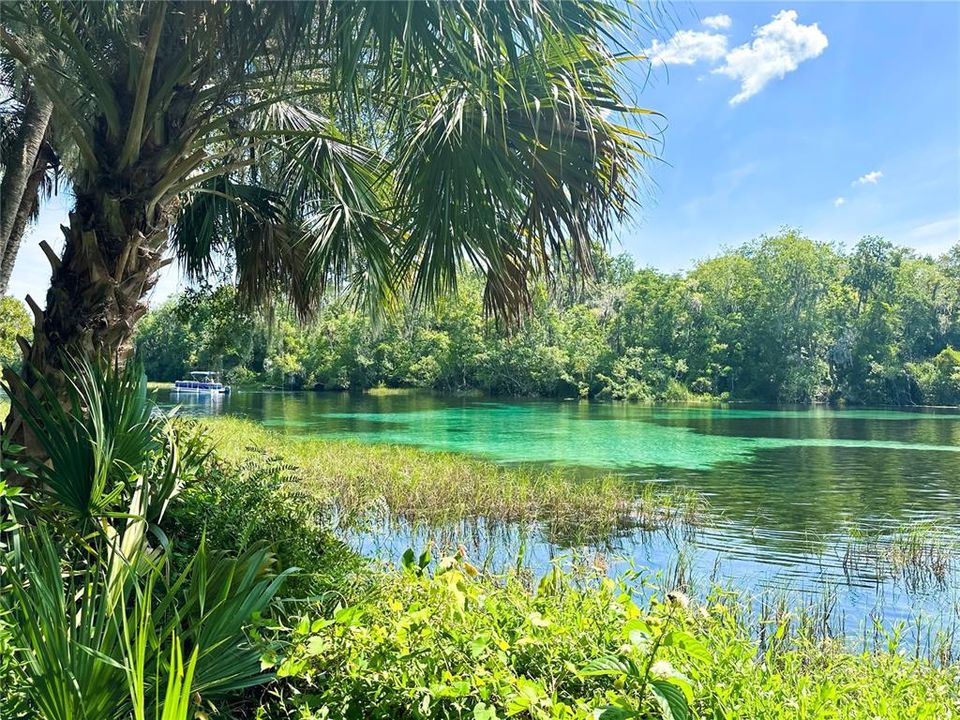 Rainbow Springs