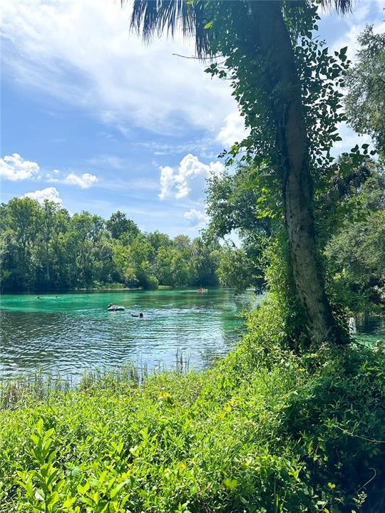 Rainbow Springs