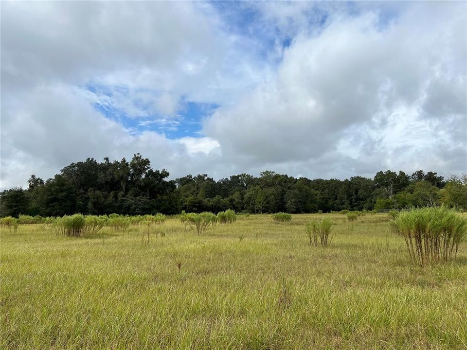 En Venta: $2,200,000 (18.10 acres)