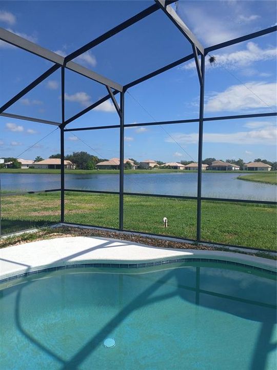 Pool with Beautiful Pond View