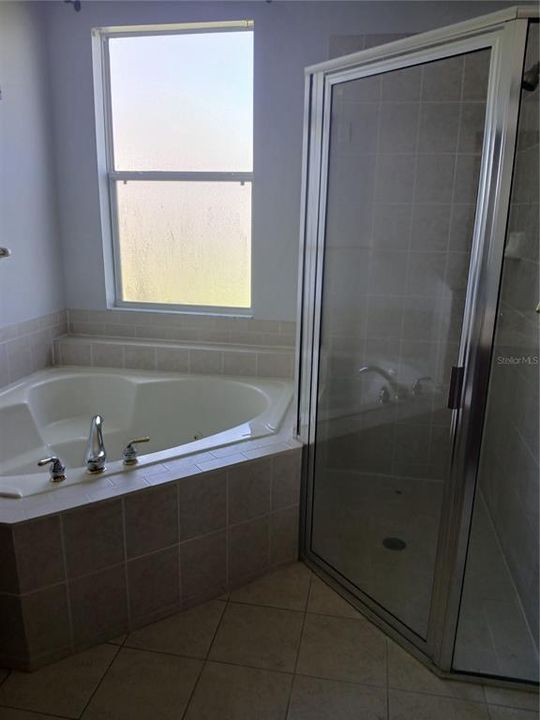 Primary Bath Shower & Tub