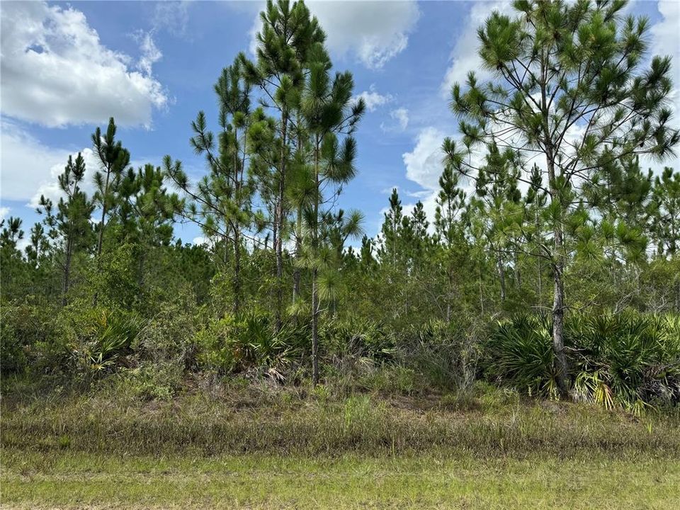 En Venta: $18,000 (0.50 acres)