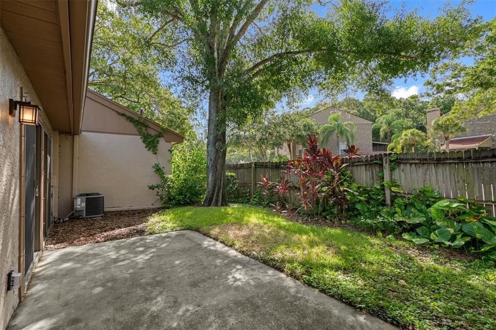 Back Patio