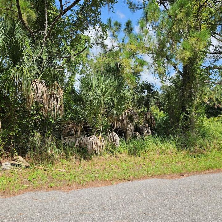 Active With Contract: $22,000 (0.23 acres)