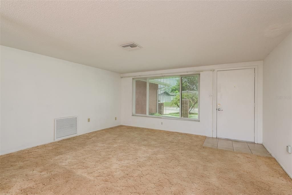 Living Room and Front Door