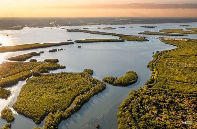 Lagoon attracts redfish and gator trout!!