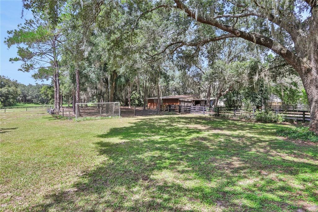 Side yard near barn and paddock