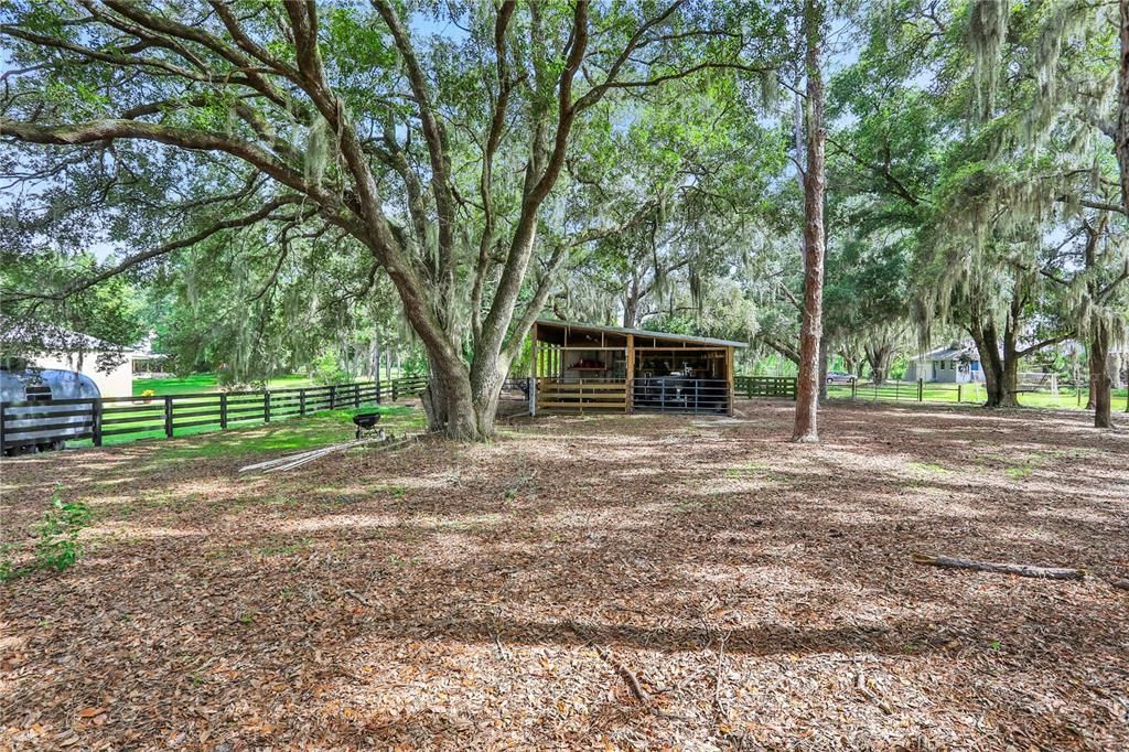 Surrounded by beautiful oaks, another view of the 1200 sq foot barn