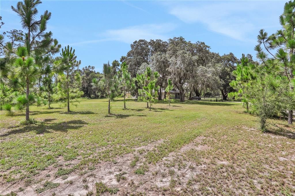 View of house and property from front fence line near driveway entrance.