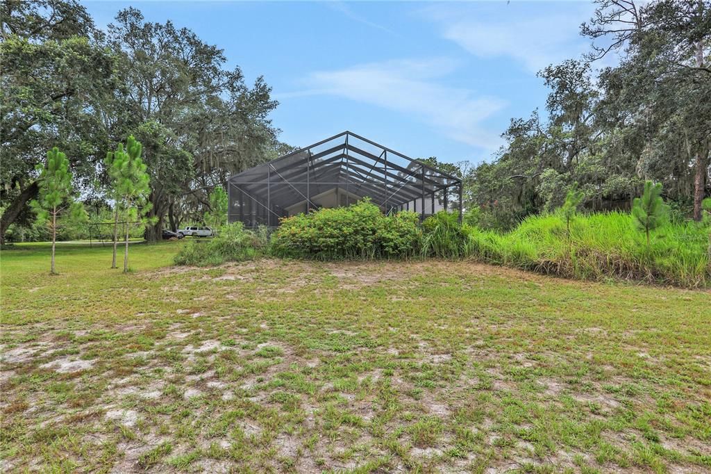 Back yard facing the house/pool