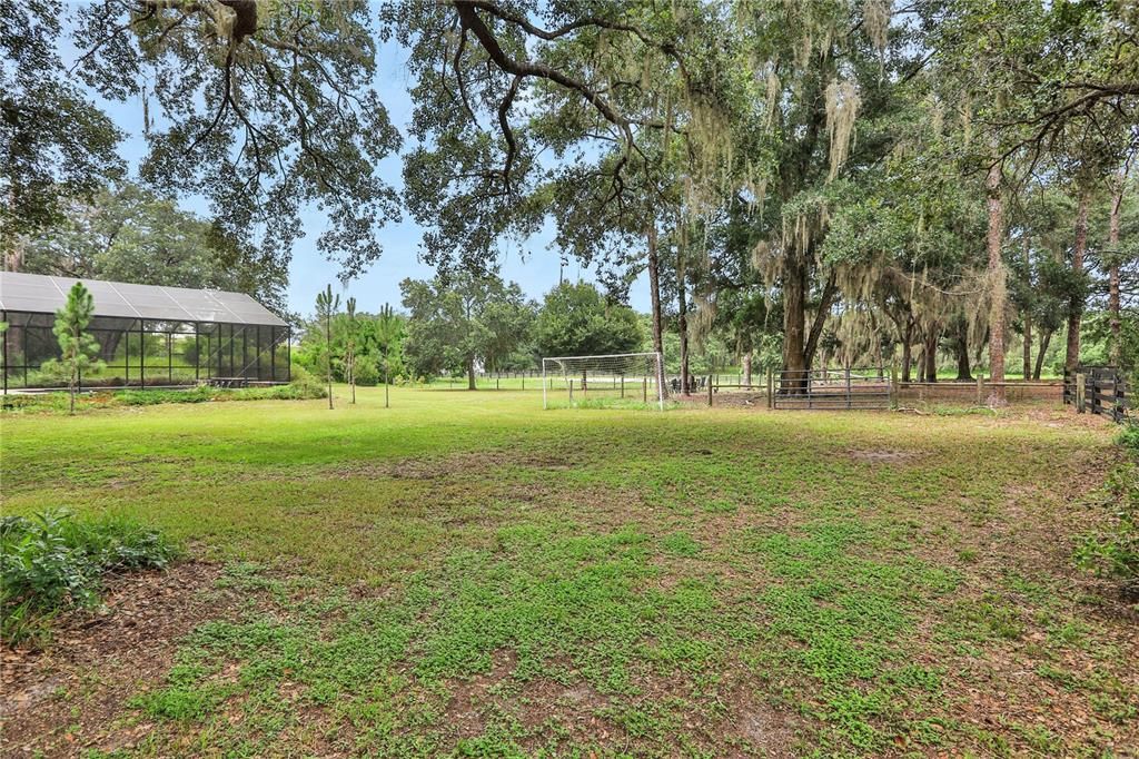 Side yard between house and paddock. Great spot for pick up soccer games or any outdoor games. You can even play at night with two lights illuminating from just outside the pool enclosure.