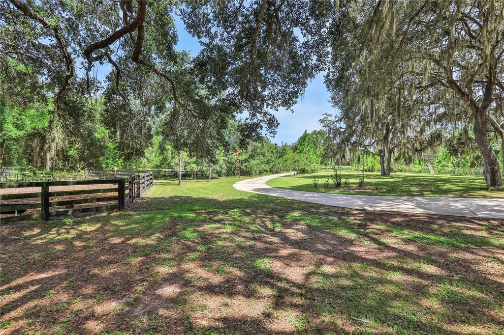 View from the side yard and the driveway leading out to Vinola Place