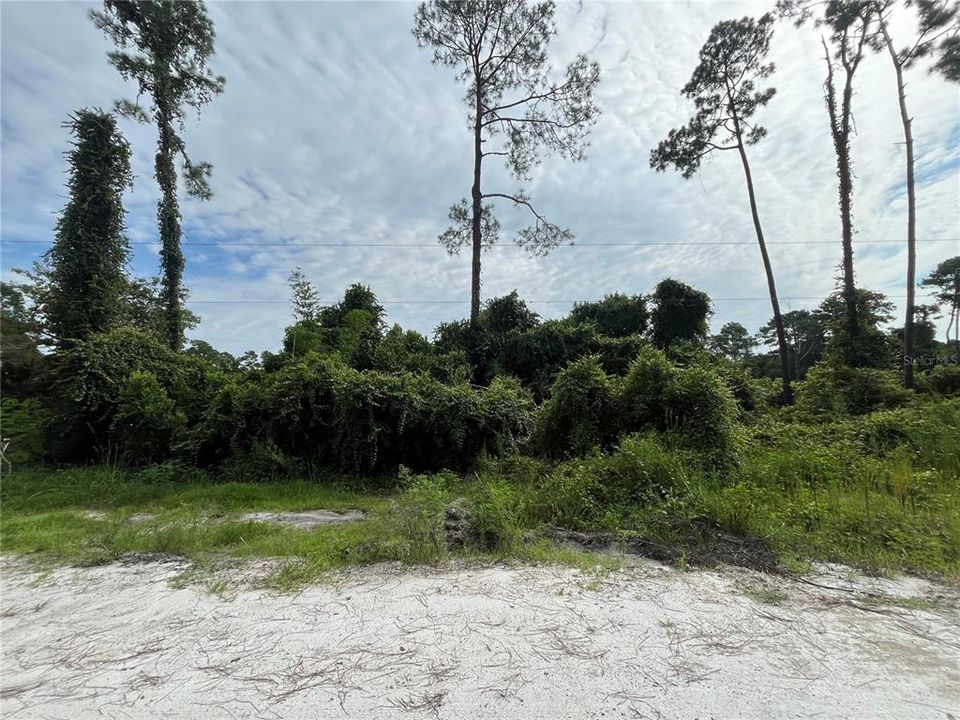 Vendido Recientemente: $8,700 (0.23 acres)