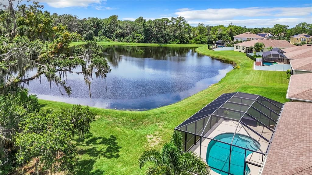 Pool overlooking Pond