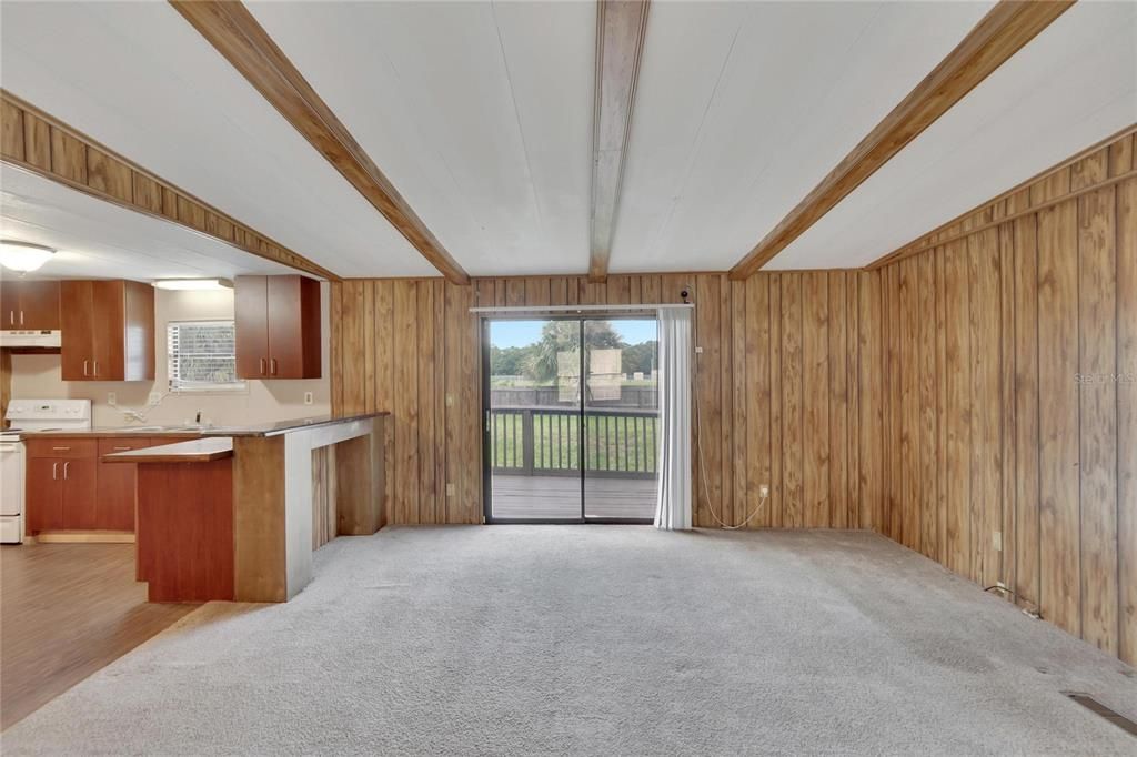 Living Room/Dining Room Combo