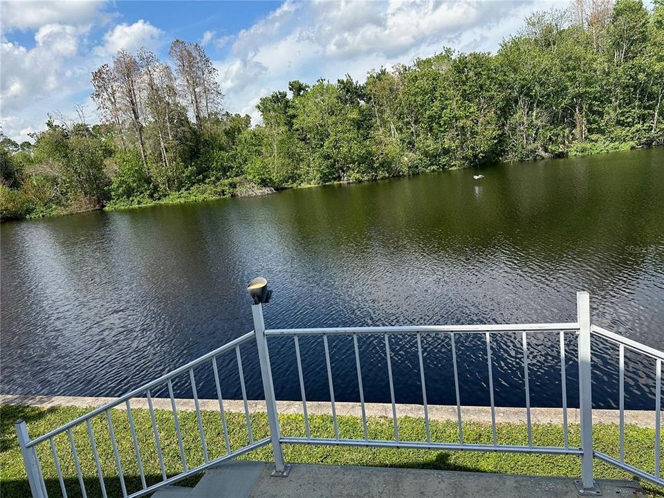 Rear Porch view