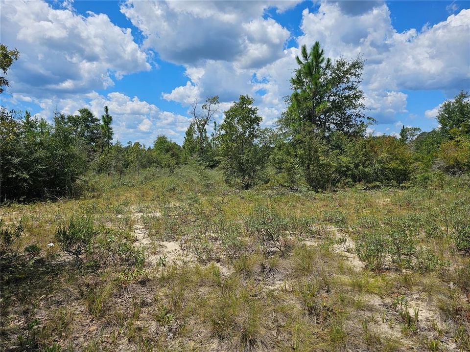 На продажу: $39,900 (2.70 acres)