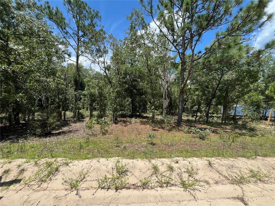 Recently Sold: $14,300 (0.46 acres)