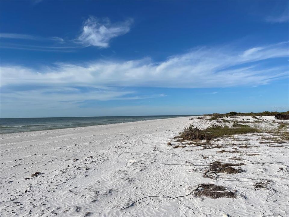 North Beach at Honeymoon Island State Park, Dunedin Fl