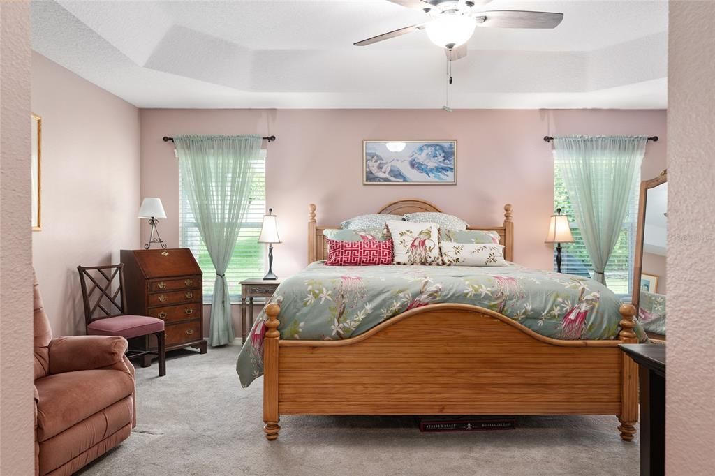 Tray Ceiling - Lighted Ceiling Fan!