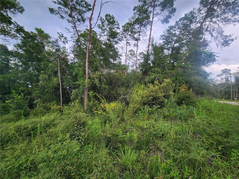 En Venta: $58,000 (0.46 acres)