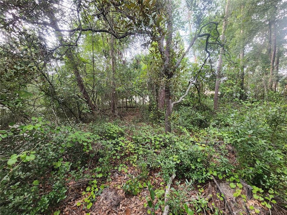 En Venta: $58,000 (0.46 acres)