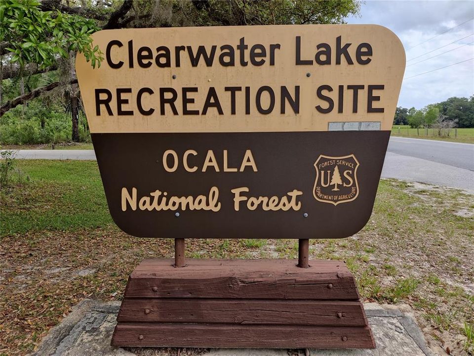 Ocala National Forest