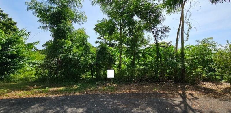 Vendido Recientemente: $55,250 (2.03 acres)