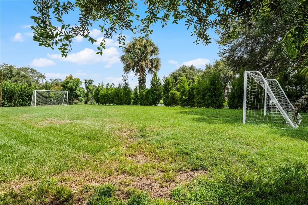 Your own soccer field in the backyard!