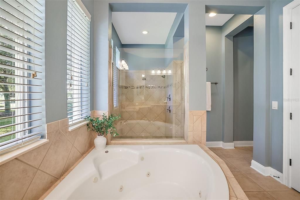 Garden tub and large shower