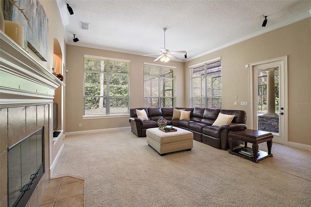 Living room with fireplace