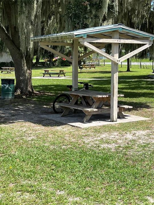 Hernando Lake and Beach