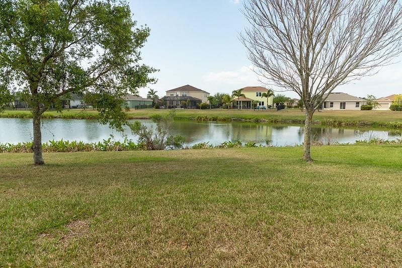 Rear Pond View