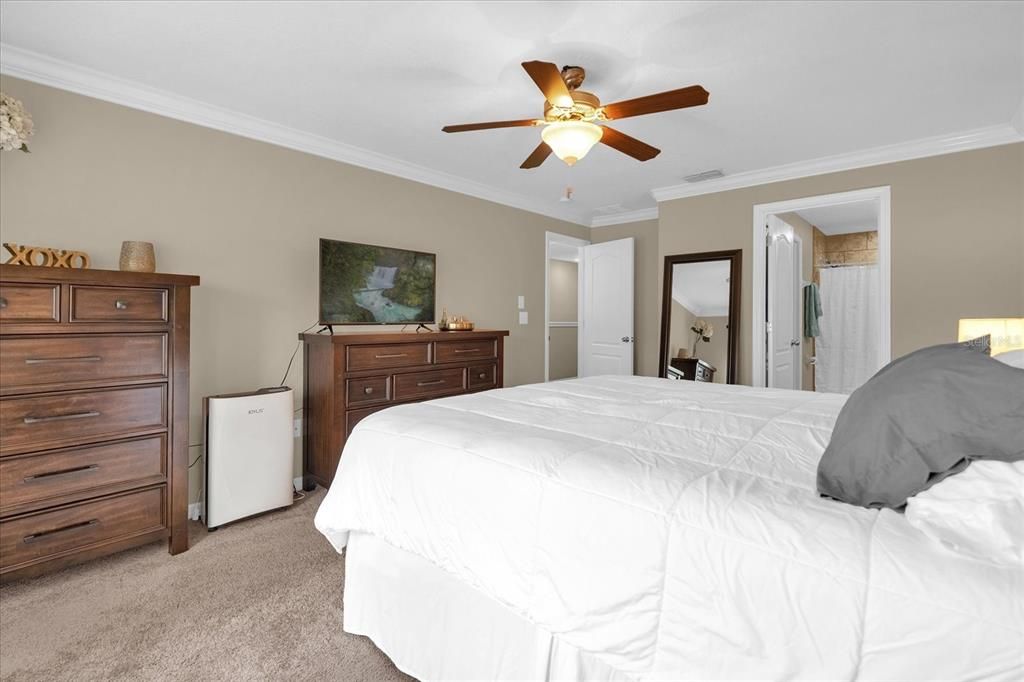 Master Bedroom full of natural light