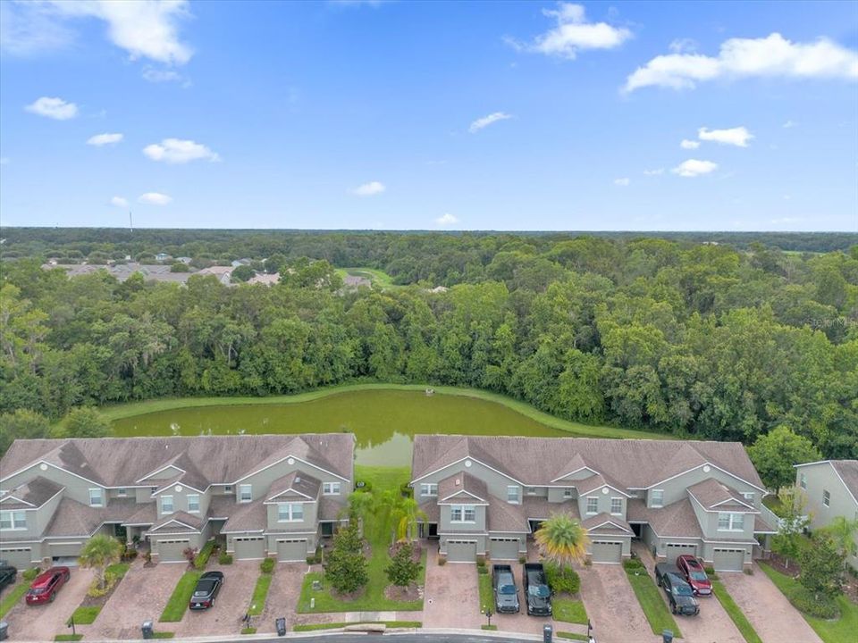 Drone with Pond View