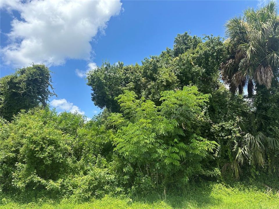 GREAT HOME SITE or INVESTMENT! Buy lot next door as well and own nearly 1/2 acre!