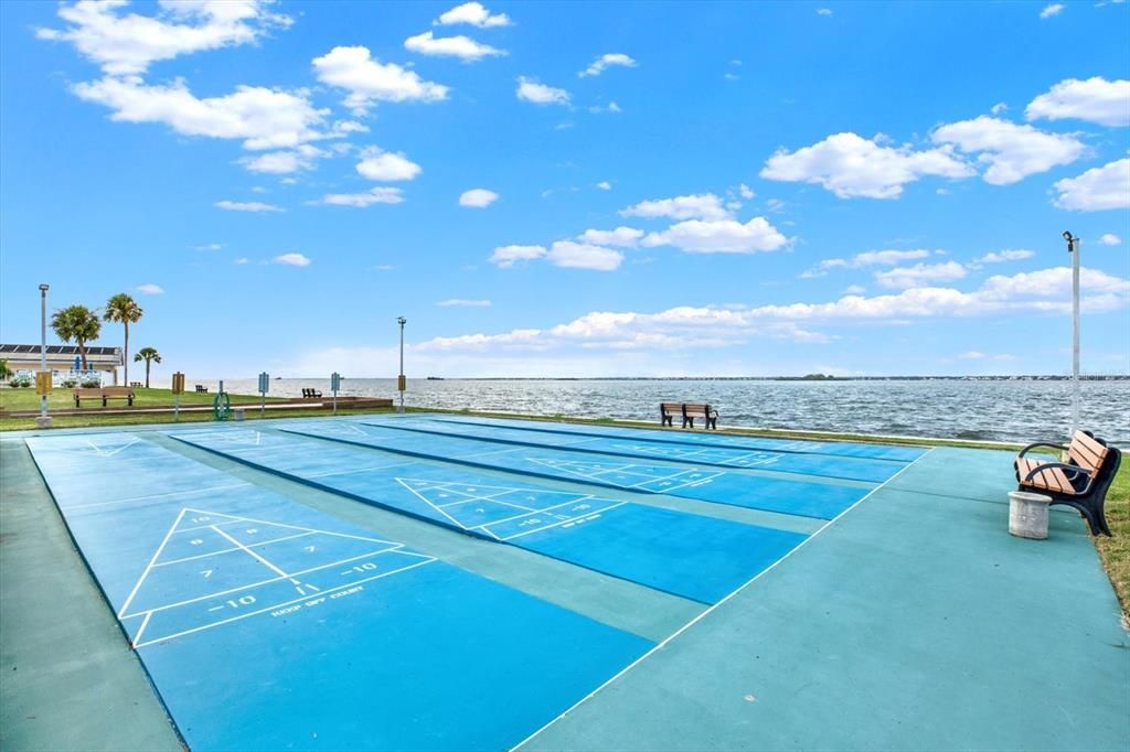 Shuffleboard