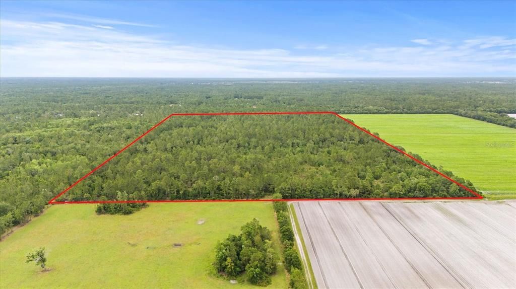 На продажу: $1,200,000 (80.00 acres)