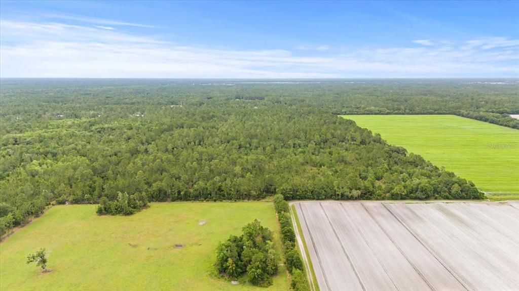 For Sale: $1,200,000 (80.00 acres)