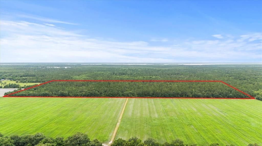 На продажу: $1,200,000 (80.00 acres)