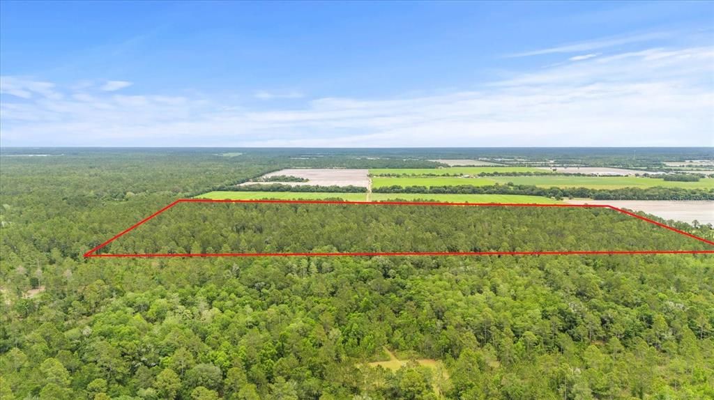 На продажу: $1,200,000 (80.00 acres)