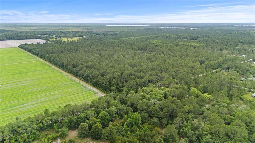 For Sale: $1,200,000 (80.00 acres)