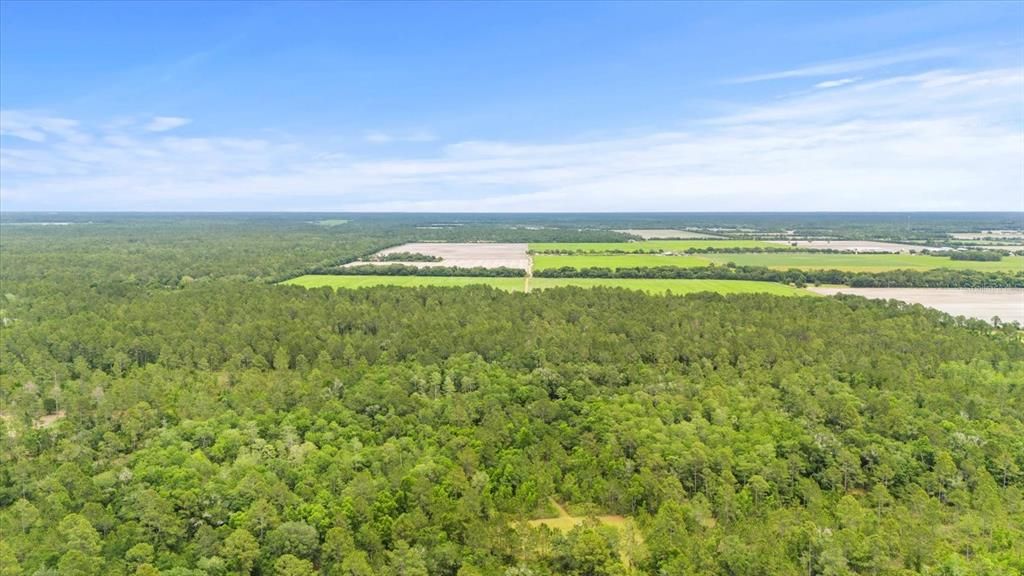 На продажу: $1,200,000 (80.00 acres)