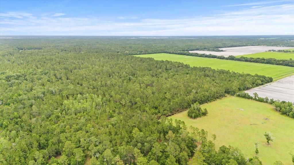 For Sale: $1,200,000 (80.00 acres)