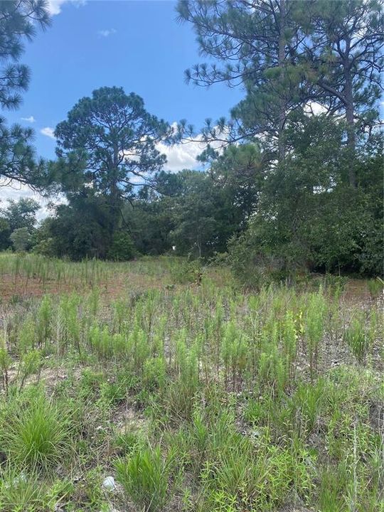 Active With Contract: $125,000 (1.06 acres)