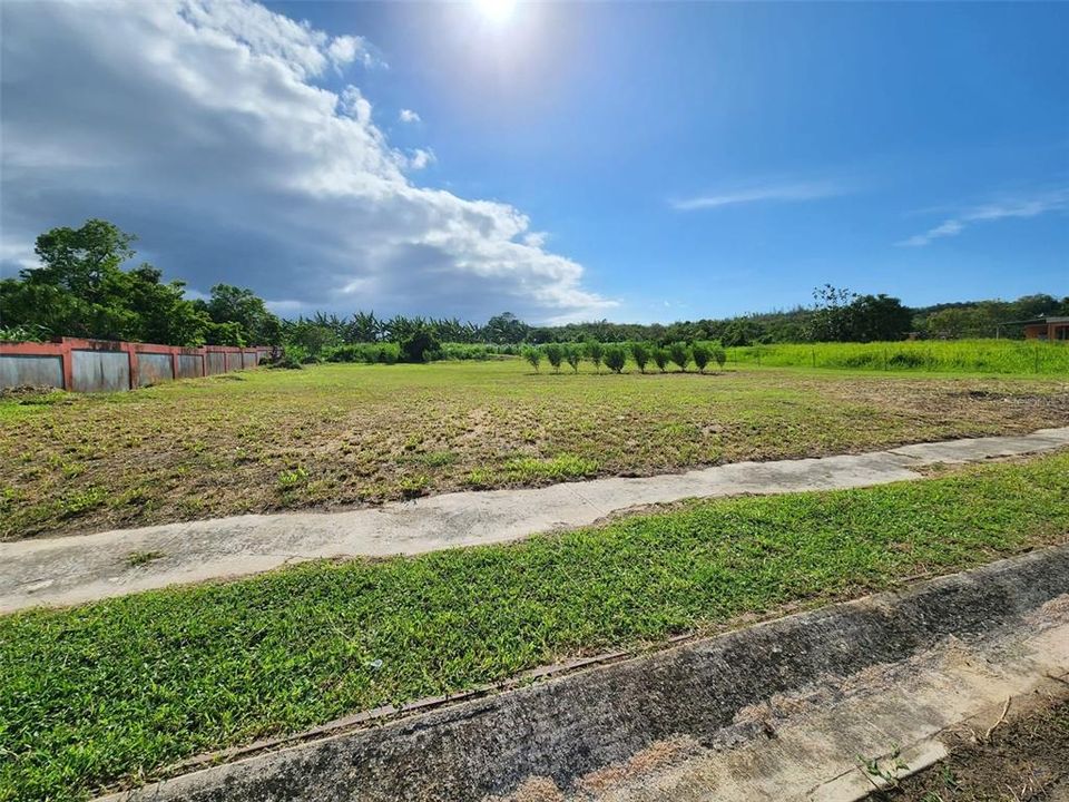 Недавно продано: $74,000 (0.37 acres)