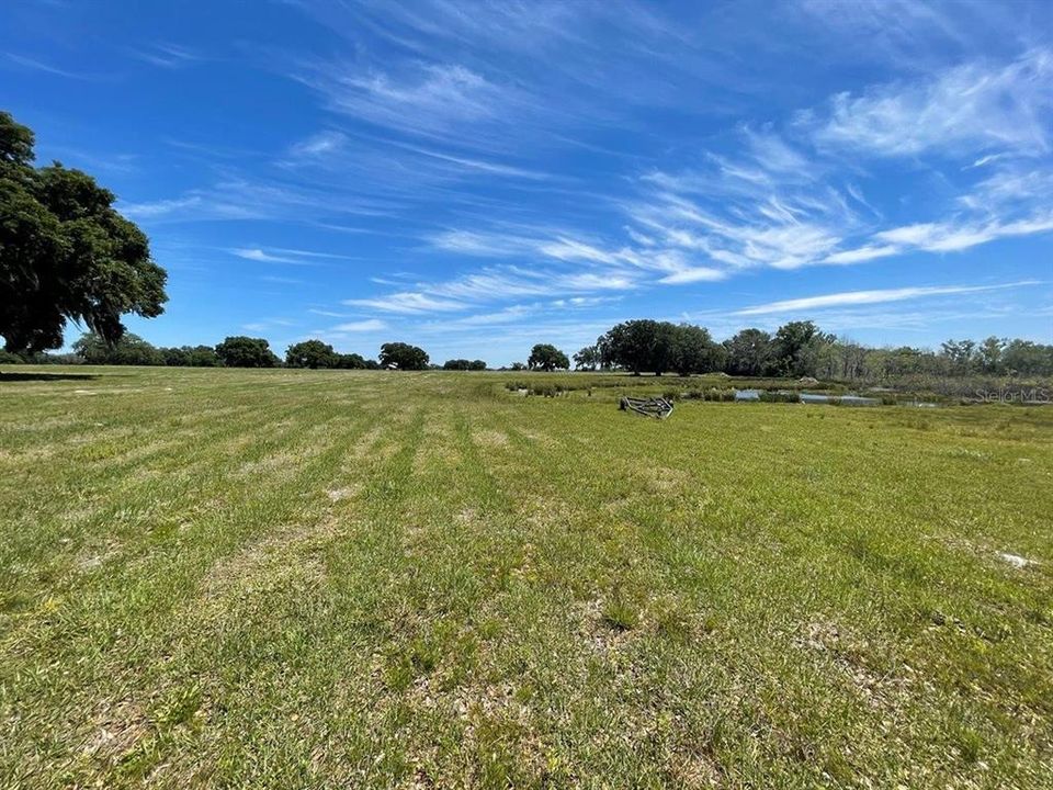 Active With Contract: $775,000 (31.20 acres)